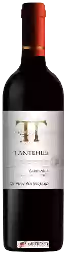 Wijnmakerij Ventisquero - Tantehue Carménère