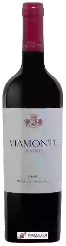 Wijnmakerij Viamonte - Bonarda
