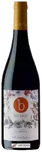 Wijnmakerij Vins de Terrer - Botānic