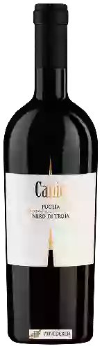 Wijnmakerij Vigneti del Salento - Canio Nero di Troia