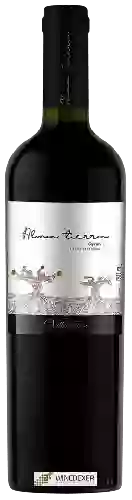 Wijnmakerij Villaseñor - Alma Tierra Syrah