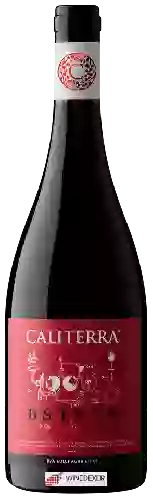 Wijnmakerij Caliterra - DSTNTO
