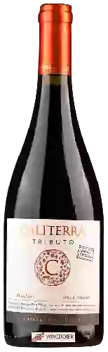 Wijnmakerij Caliterra - Tributo Pinot Noir