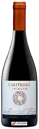 Wijnmakerij Caliterra - Tributo Syrah