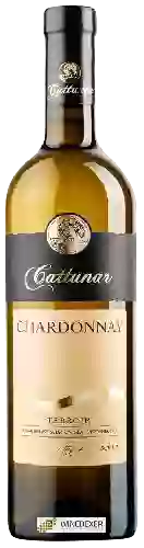 Wijnmakerij Vina Cattunar - Chardonnay