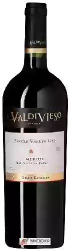 Wijnmakerij Valdivieso - Single Valley Lot Gran Reserva Merlot