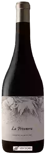 Wijnmakerij Viñas Serranas - La Pivonera
