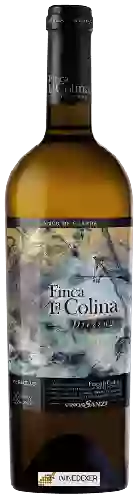 Wijnmakerij Vinos Sanz - Finca La Colina Dressage
