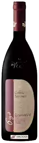 Wijnmakerij Vio Giobatta - BioVio - Gigò Granaccía Colline Savonesi Wijnmakerij Vio Giobatta - BioVio - Gigò Granaccía Colline Savonesi