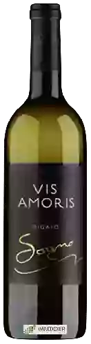 Wijnmakerij Vis Amoris - Pigato Sogno