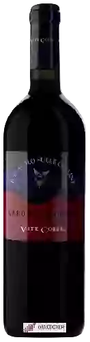 Wijnmakerij Vite Colte - Il Diavolo Sulle Colline Barolo Chinato