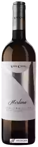 Wijnmakerij Vite Colte - Merlana Erbaluce di Caluso