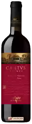 Wijnmakerij Vitis Metamorfosis - Cantus Primus Fetească Neagră