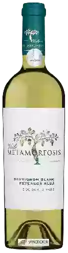 Wijnmakerij Vitis Metamorfosis - Viile Metamorfosis Fetească Albă - Sauvignon Blanc