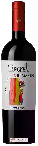 Wijnmakerij Viu Manent - Secreto Carmen&egravere