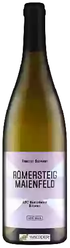 Wijnmakerij Von Salis - Römersteig Maienfeld Riesling - Silvaner Wijnmakerij Von Salis - Römersteig Maienfeld Riesling - Silvaner