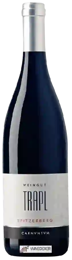 Weingut Trapl - Blaufränkisch Spitzerberg