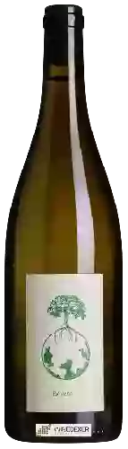Wijnmakerij Werlitsch - Ex Vero II