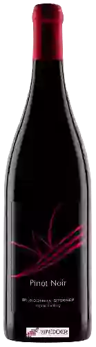 Wijnmakerij Wijndomein Stokhem - Pinot Noir