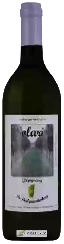 Wijnmakerij Wijngaard de Deelgaarderberg - Solaris