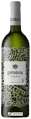 Wijnmakerij Protea - Chenin Blanc