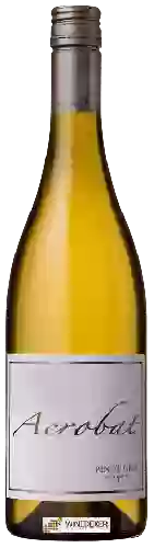 Weingut Acrobat - Pinot Gris