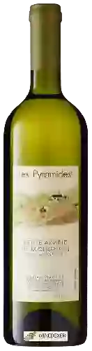 Domaine Adrian et Diego Mathier - Les Pyramides Petite Arvine