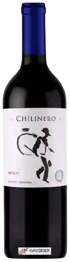 Domaine Aguirre - Chilinero Merlot