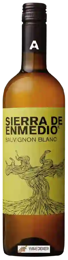 Domaine Alceño - Sierra de Enmedio Sauvignon Blanc