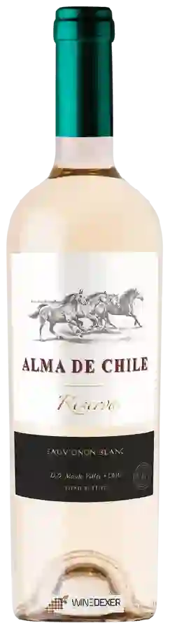 Domaine Alma de Chile - Reserva Sauvignon Blanc
