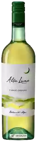 Winery Alta Luna - Pinot Grigio