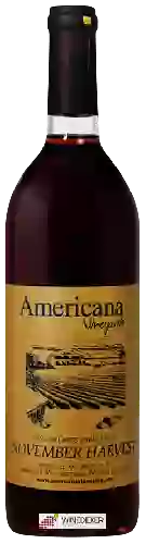 Domaine Americana Vineyards - November Harvest
