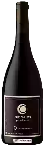 Domaine Ampelos - Rho (The Correlation) Pinot Noir