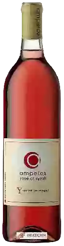 Domaine Ampelos - Rosé of Syrah (Upsilon: The Charged)