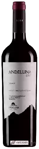 Winery Andeluna - 1300 Merlot