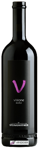 Domaine Andrea Michael Weingartner - Visione Merlot