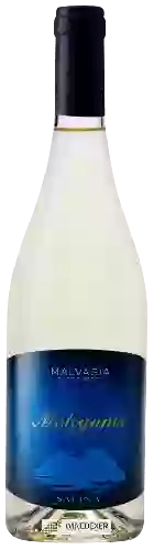 Domaine Antichi Vinai - Meligunis Malvasia Bianco Secco