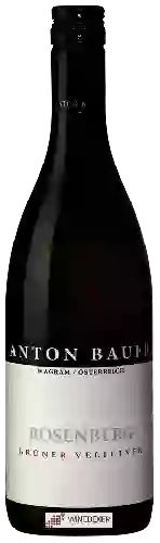 Domaine Anton Bauer - Rosenberg Grüner Veltliner