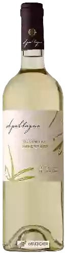 Domaine Apaltagua - Gran Verano Sauvignon Blanc