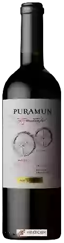 Domaine Puramun - Co-Fermented