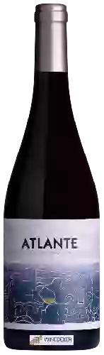 Domaine Atlante Domaine Atlante