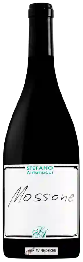 Domaine Azienda Santa Barbara - Stefano Antonucci - Mossone Domaine Azienda Santa Barbara - Stefano Antonucci - Mossone