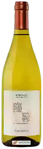 Domaine Azienda Santa Barbara - Stefano Antonucci - Verdicchio dei Castelli di Jesi