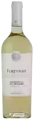 Domaine Umani Ronchi - Fortunae Bianchello del Metauro