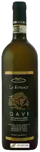 Winery Bergaglio Cinzia - La Fornace Gavi