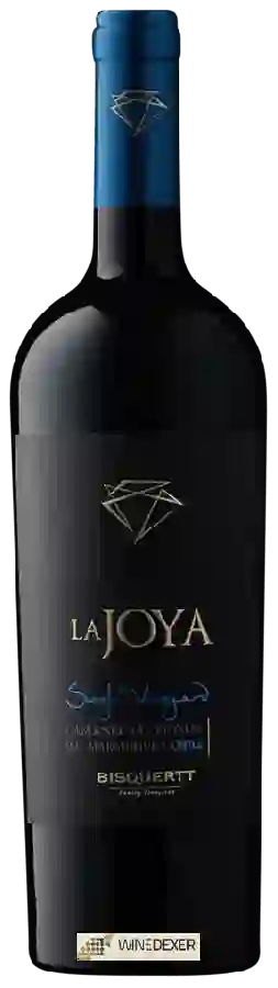 Domaine Bisquertt Family Vineyards - La Joya Single Vineyard Cabernet Sauvignon