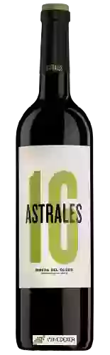 Winery Astrales - Ribera del Duero