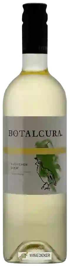 Domaine Botalcura - Codorniz  Sauvignon Blanc