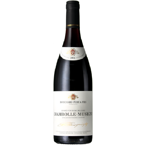 Domaine Bouchard Père & Fils - Chambolle Musigny