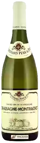 Wijnmakerij Bouchard Père & Fils - Chassagne-Montrachet Blanc